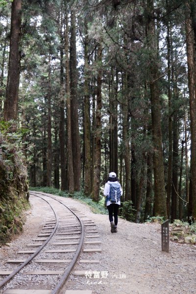 特富野古道1407528