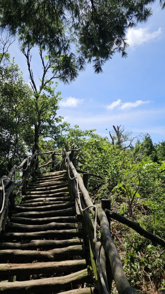 240915-小百岳#041頭嵙山。美美兔挑戰台中後花園-大坑153步道O繞。2627041