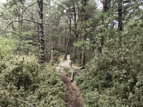 [玉山尋寶任務-08/12] 2025_0824 鹿林山步道_鹿林前山2870923