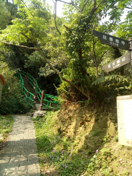 南勢角山縱走天上山1866383