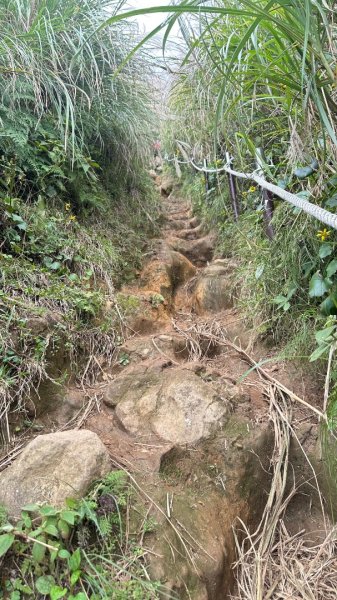 大屯山五連峰含面天山2934603