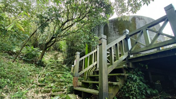 20260125 陽明山前後山健行(無極天元宮~山仔頂步道.向天池.向天山.面天山.二子坪)2997941
