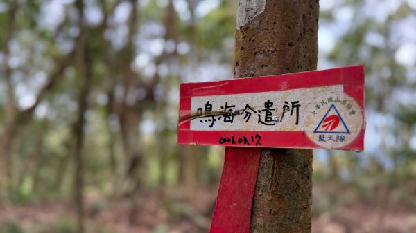 六龜警備道/茂林段/網子山～鳴海山2708207