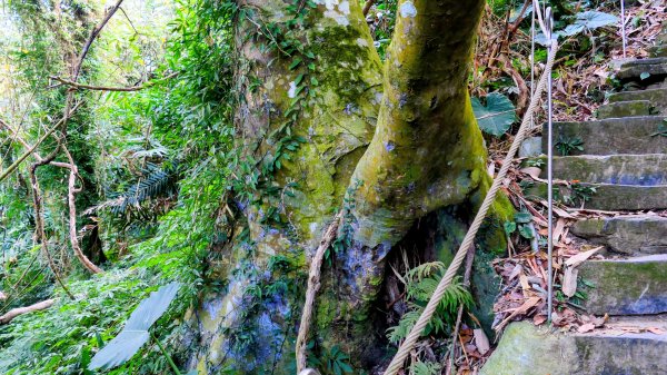 南化刣牛湖山2987501