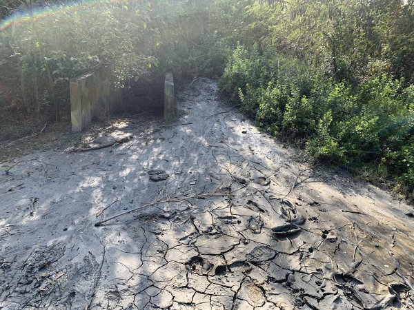 20250128高雄漯底山-北峰-西北峰2705222