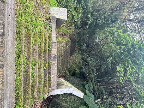 皇帝殿202603293035820