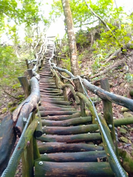 小百岳(41)-頭嵙山(四號步道)-201808151785194