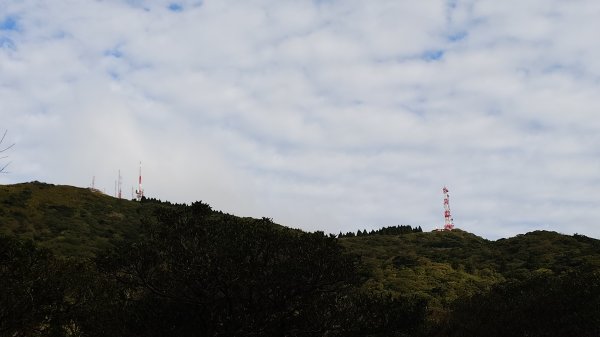 20260125 陽明山前後山健行(無極天元宮~山仔頂步道.向天池.向天山.面天山.二子坪)2998058