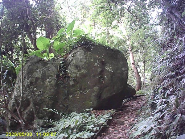 內灣南坪古道、馬胎古道及內灣O繞，順道拜訪位移總督府交通局遞信部基石。3067410
