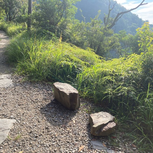 步道巡訪員 l 跑馬古道 第7巡大型設施1022577