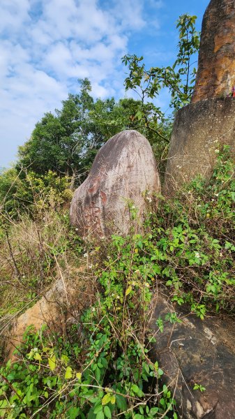 112/1/8苗栗縣頭屋鄉曲洞宮-墨硯山北峰-墨硯山-曲洞宮O型1992950