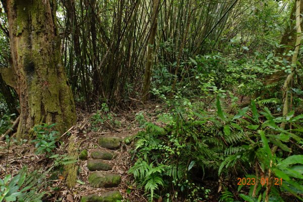 新竹 芎林 雞寮坑山、下橫坑山、芎蕉窩山、牛欄窩山2002476