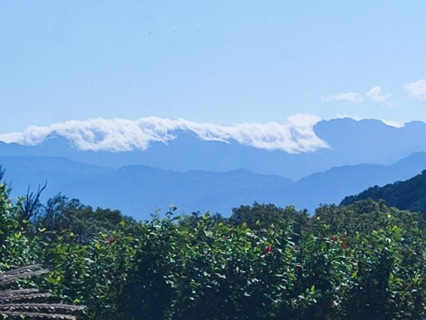 新嶺山步道-大湖頂山-大棟山-鶯歌大榕樹-福源山步道2990676