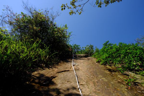 白石埤、白石山295414