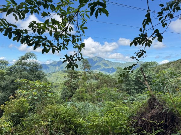 阿里眉山+大舌滿山（路跡不明/未竟 ）2864622