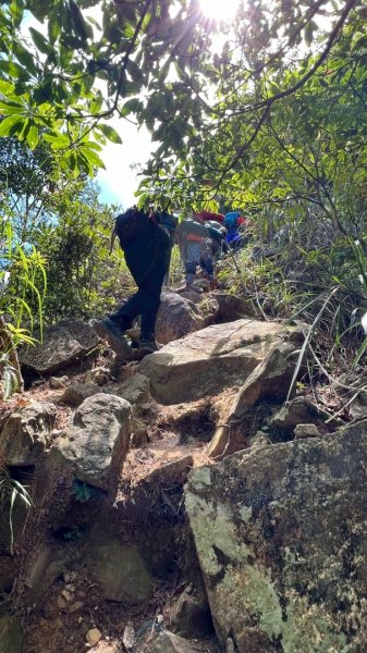 阿冷山 谷關第八雄2877427