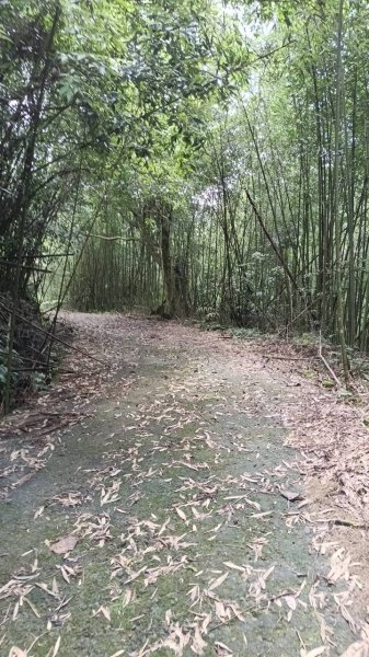 20250927 馬那邦山 - 上湖登山口2895898