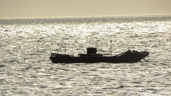 《彰化》海空夕照｜王功燈塔及芳苑海空步道健行賞冬候鳥202601102980329