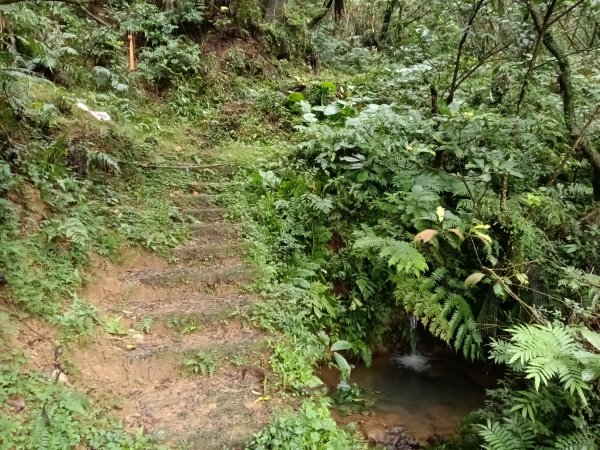 雙溪區艋舺崙古道+新路尾山+大竹林山出雙溪車站2998637
