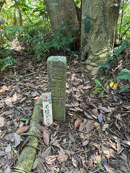 金山面山連走金面山2194581