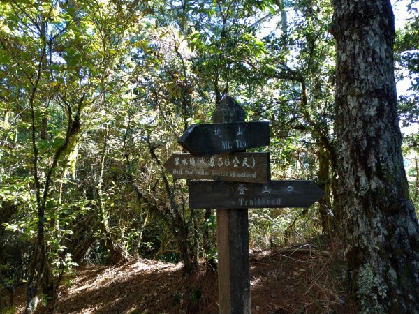 武陵四秀之桃山449056