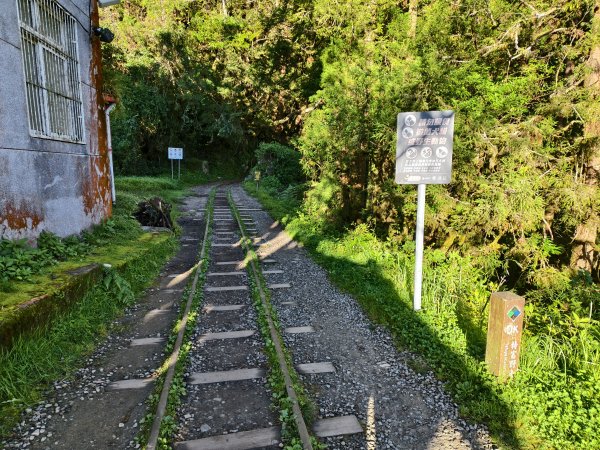 [百山百鳥尋旅-12/15] 2025_0928 特富野古道2899590