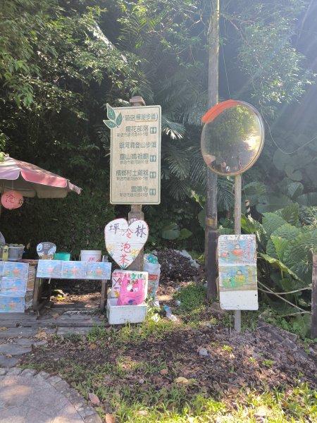 20250928微笑山線：【二格山系】銀河洞越嶺段2896188