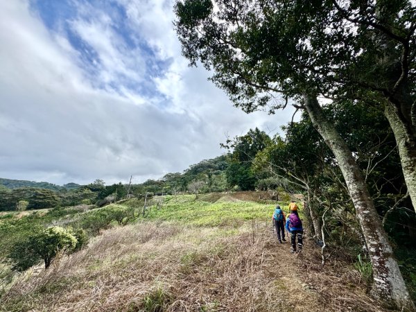 太元宮-關西玉山前-玉山/南柯山-東獅頭山/赤柯山南峰-赤柯山-太元宮 O繞2958042