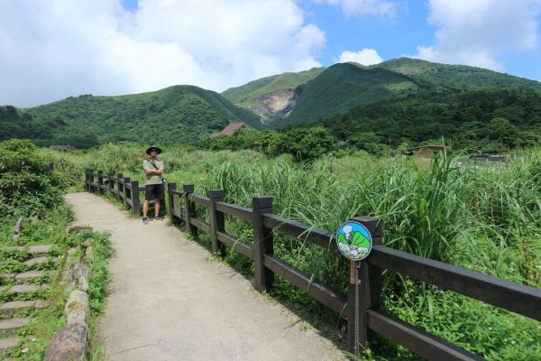 陽明山  頂湖環狀步道  ，竹子湖芋見小路 歐洲庭園 浪漫繡球花步道2174167