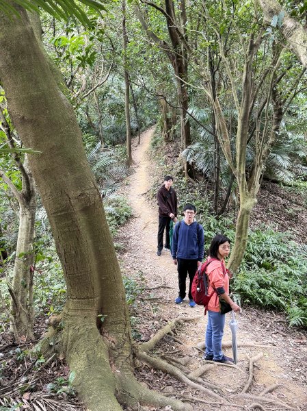 鳶山彩壁 202501312705571