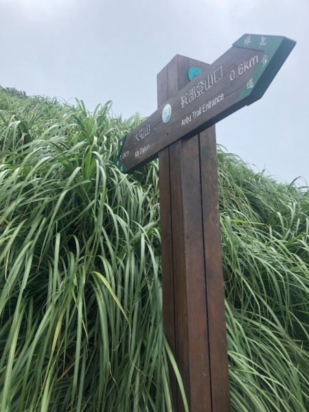 大屯主峰南峰20190727637365