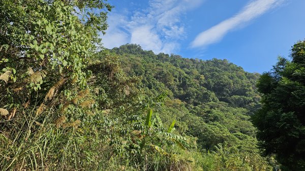 暗影山三進三出2366556