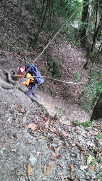 2021.4.9-10大霸群峰之大霸尖山1349341