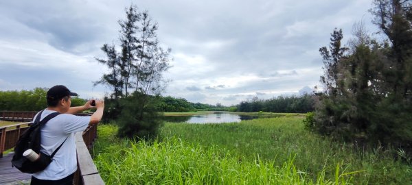 嘉義東石．鰲鼓溼地步道202406093137106