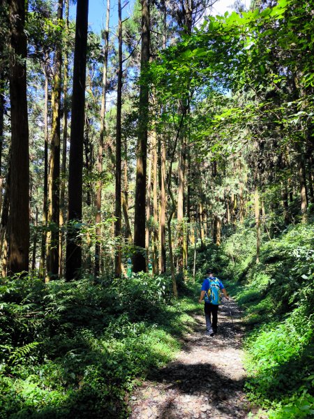 2025-09-14 奮起湖2887410