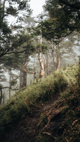 南橫百岳—關山嶺山2383963