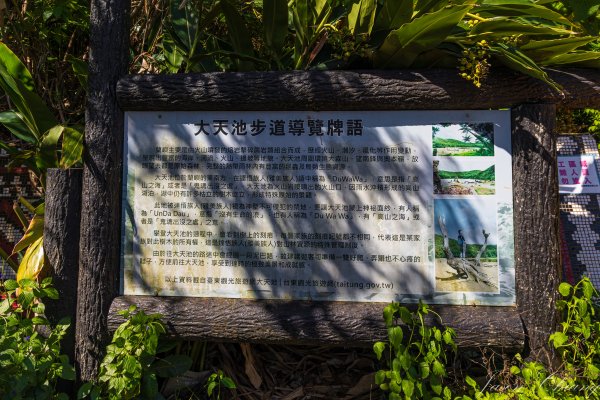 蘭嶼大天池3094311