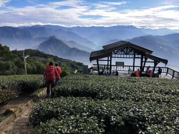 雲嘉大尖山步道2373949