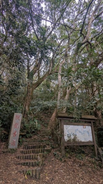 橫龍山、橫龍古道2682929