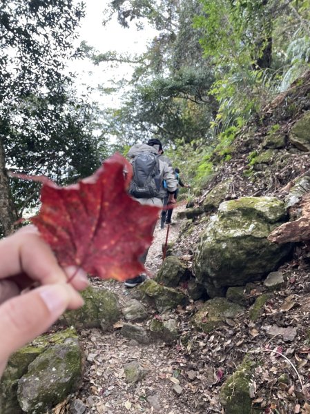 霞喀羅古道2676915