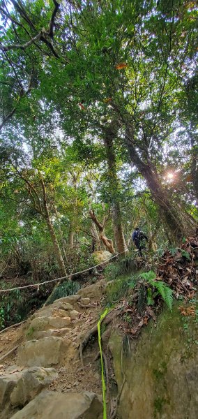 一日2座小百岳仙山、關刀山外加獅潭仙草秘境2082380