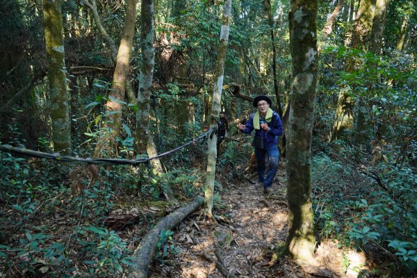 台中和平區 鳶嘴西稜下稍來南稜1968104