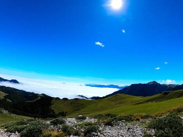 天上島嶼(奇萊東稜)1139803