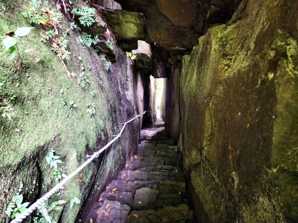 五指山橫向登山步道×猴洞步道一線天3060557