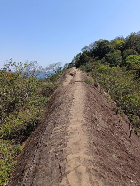 微笑山⛰️線-大棟-二格山-五分山-天上山-鳶山💎12條步道完成💙2834188