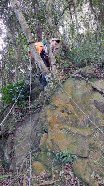 安坑五山縱走2784639