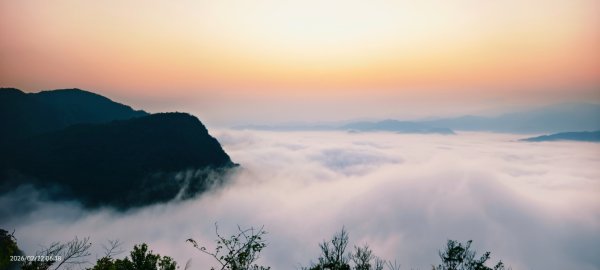 #翡翠水庫壩頂 #日出 #雲海 #藍腹鷴 2/22 #年初六3004053