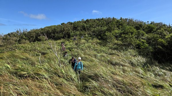 夏季的黃金十稜接九稜下門牙稜C型(草長路荒慎行)2880673