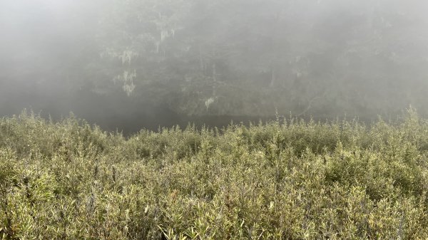 將軍廟上天鑾池上下2162819