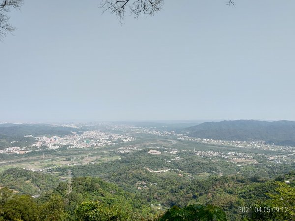 [新竹橫山]田薯縱走...田寮山+毬子山+水頭排山+鎮石山+薯園山1337288